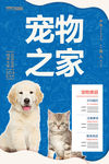 宠物