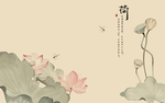 荷花