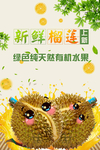 榴莲海报
