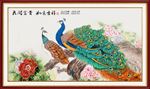 牡丹