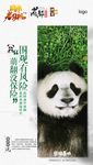老司机-成都