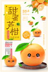 芦柑宣传海报