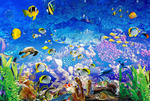 海洋世界