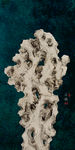 新中式石头太湖石假山飞鸟玄关画