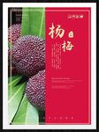 杨梅