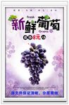 葡萄 提子