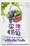 葡萄
