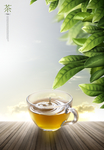 茶叶海报 绿茶 绿茶海报