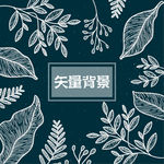 花纹框架背景