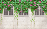 墙壁藤花花簇花丛爬墙花壁画背景
