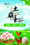 土鸡蛋