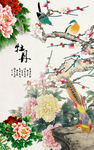 美丽鲜艳的牡丹花鸟玄关壁画背景