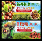 新鲜板栗