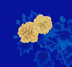 芙蓉花