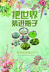 多肉植物