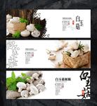 白玉菇文化展板