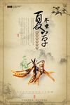冬虫夏草