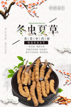 冬虫夏草