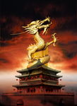 龙之崛起