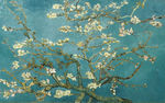 中式花鸟