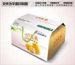 玉米包装设计