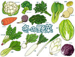 新鲜果蔬