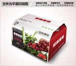 樱桃包装箱设计