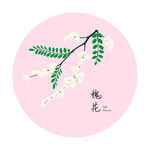槐花