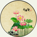 荷花