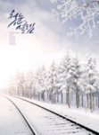 雪景 雪后 飘雪 雪后树林