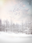 雪景 雪后 飘雪
