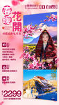 C-春暖花开