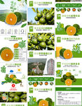 水果蜜桔橘子详情页