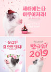 新春海报 2019 猪年海报