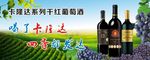 干红葡萄酒