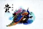 孔雀