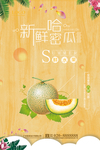 哈密瓜