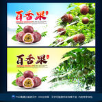 百香果