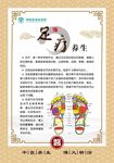 中医治疗 足疗养生