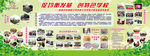学校板报