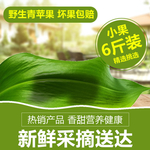 新鲜水果