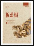 板蓝根