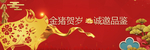 金猪贺岁户外