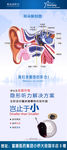 斯达克耳朵解剖图
