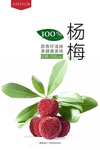 杨梅海报
