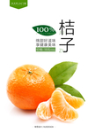 桔子海报
