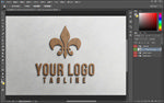 logo样机