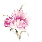 手绘花