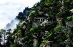 井冈山 杜鹃山