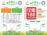 艺术招生宣传单